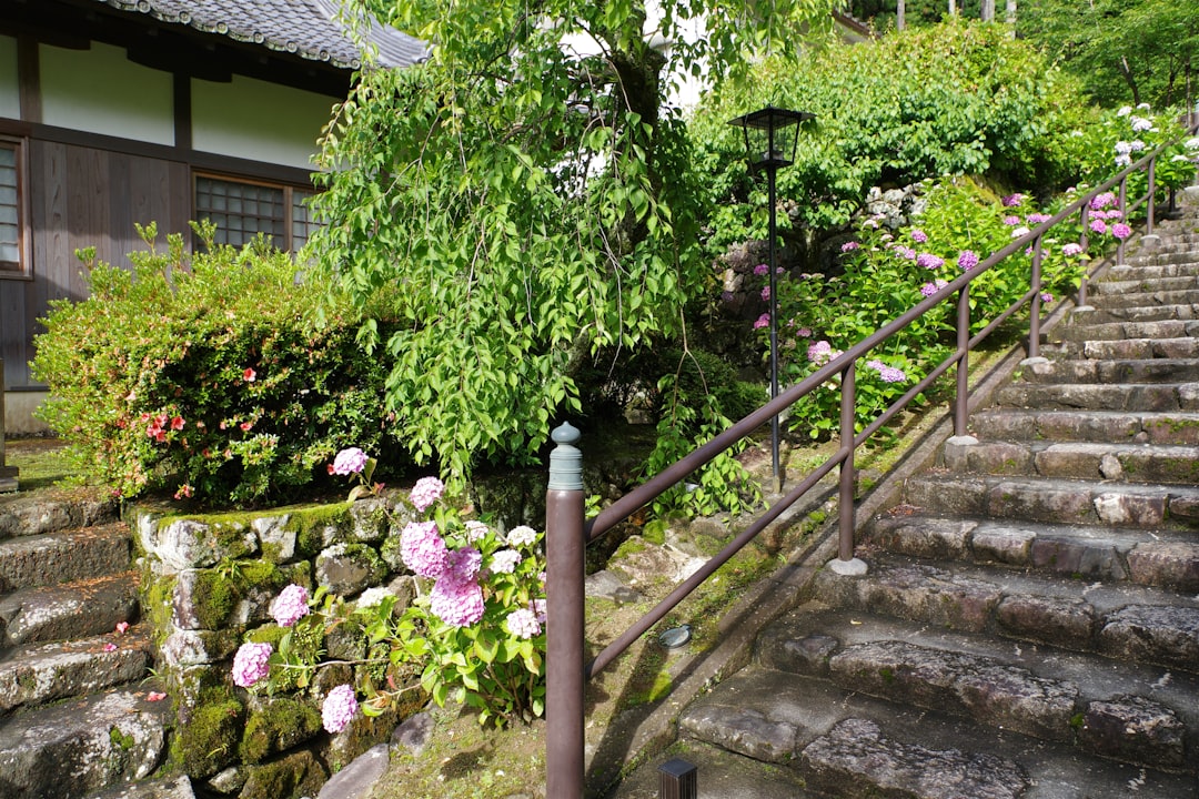 大通公園