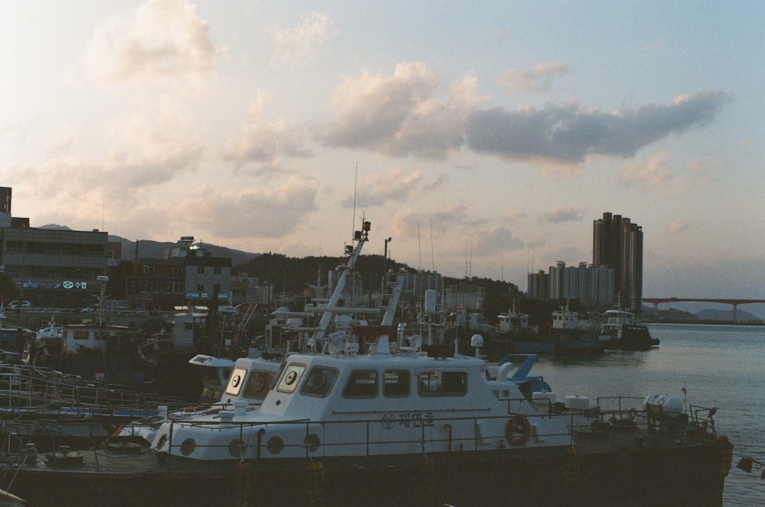 青森港