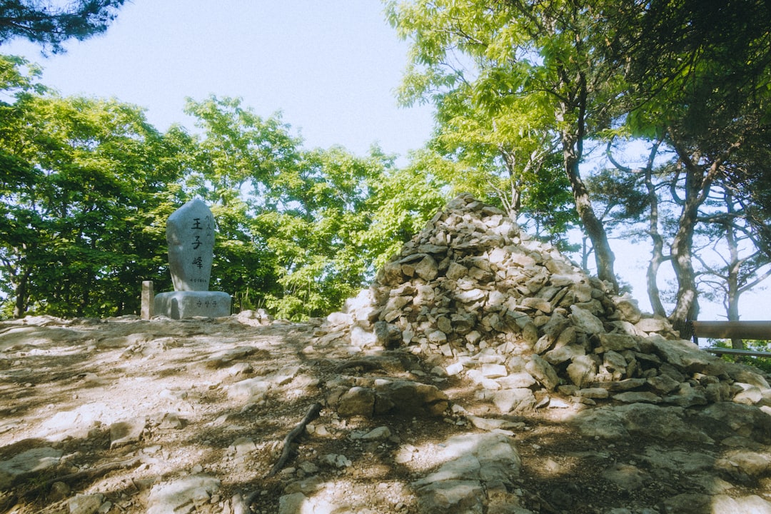 三内丸山遺跡