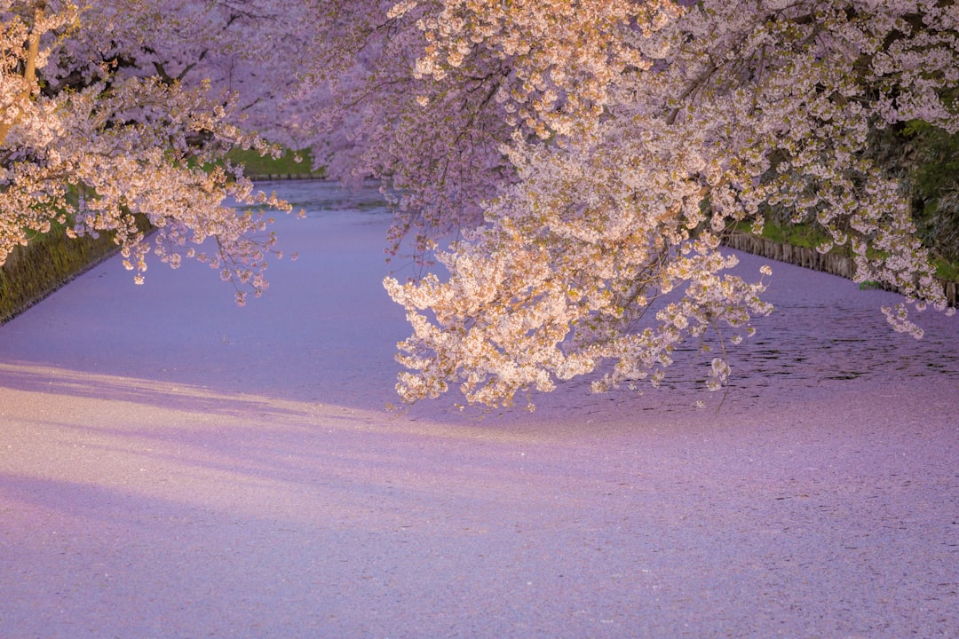 弘前城址公園