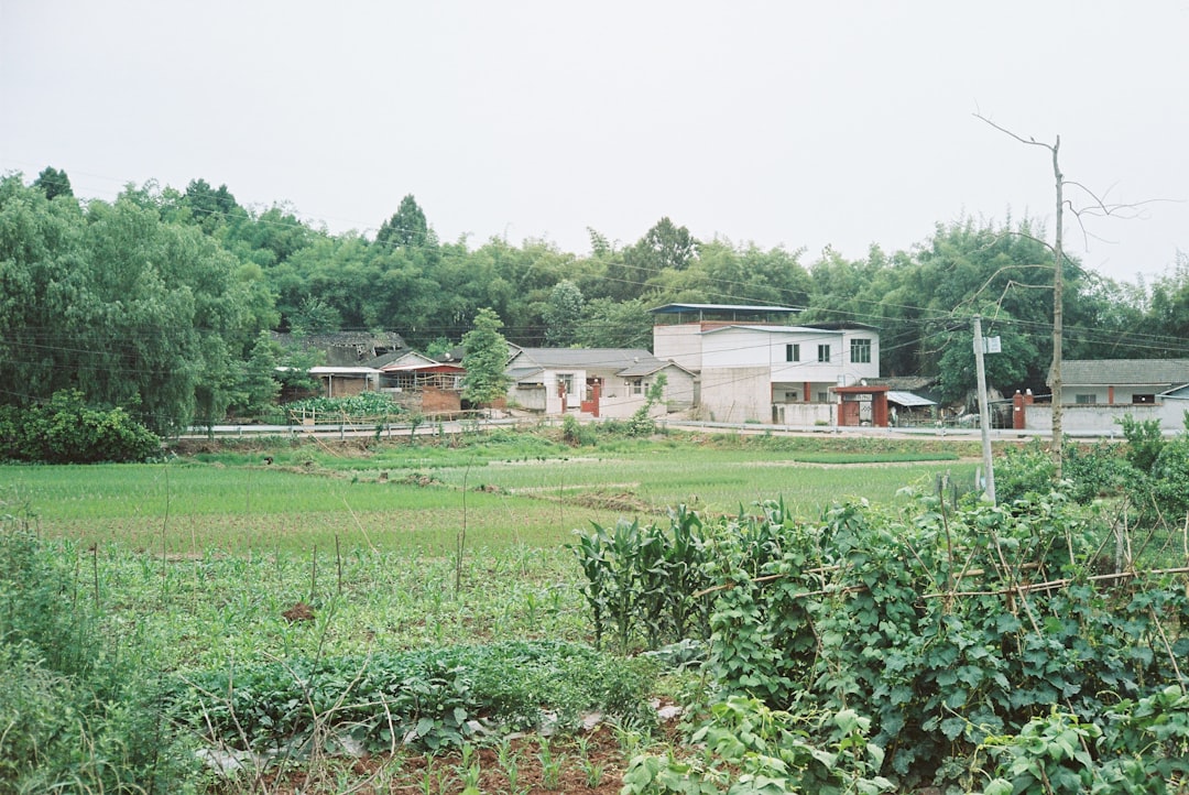 イーハトーブ童話村
