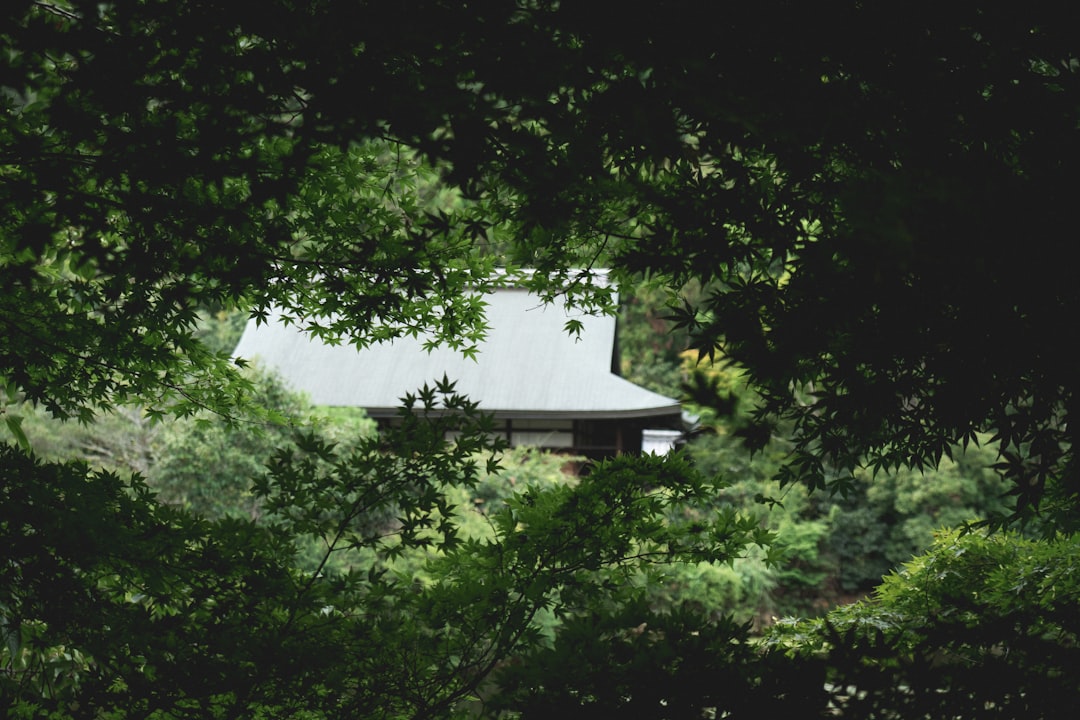 喜多院