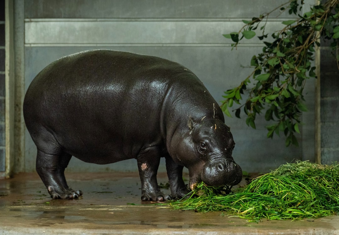 上野動物園